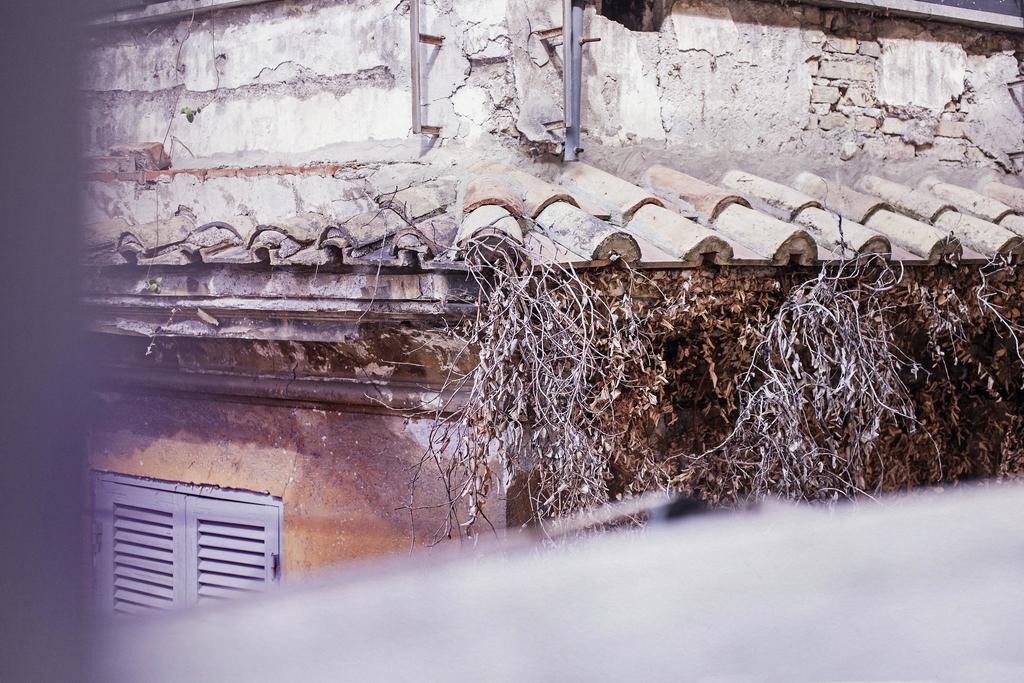 Trasteverehome - Peretti Rome Exterior photo